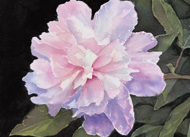 Adult art classes and adult painting classes in worcester ma